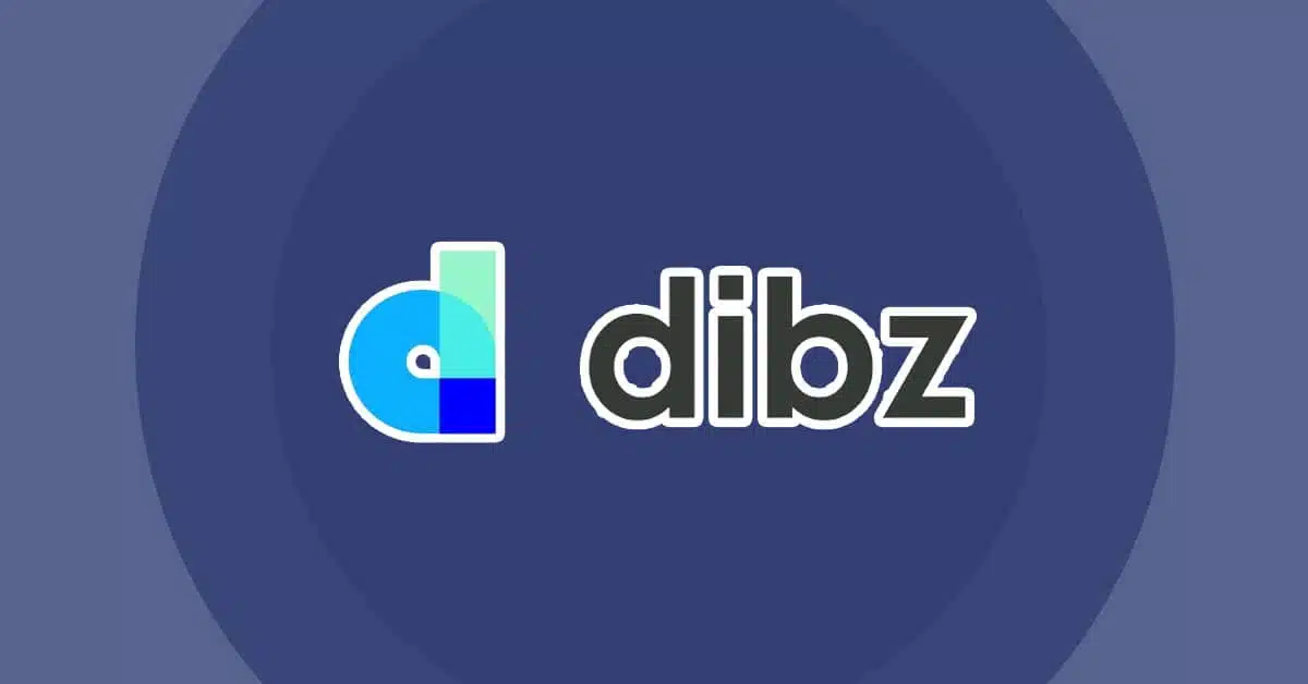 dibz-omslag